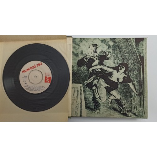 Magnetická pole + Vinyl